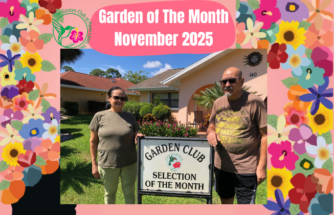 Gloria and Raj Vohra Selected for Garden of The Month in November by The Garden Club at Palm Coast