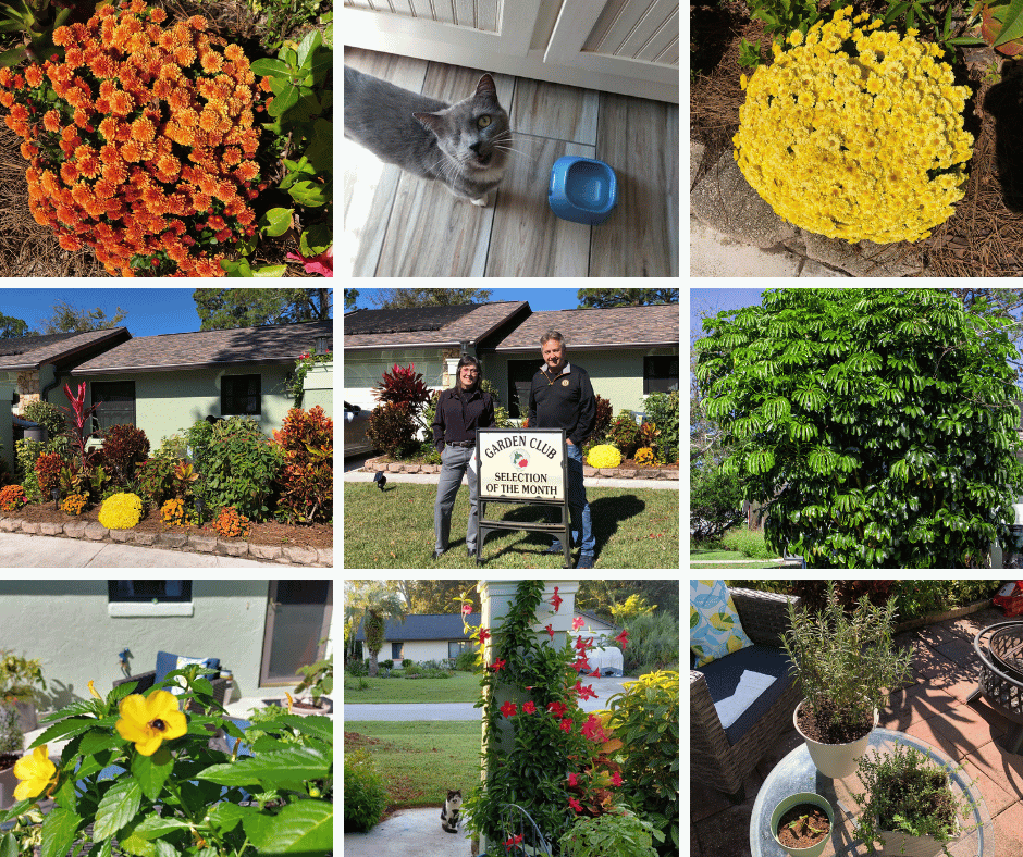 Palm Coast December 2025 Garden Selection Of The Month by The Garden Club at Palm Coast