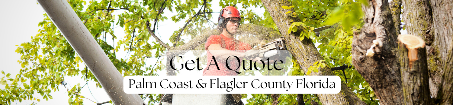 Tree Trimming Company Quote in Palm Coast