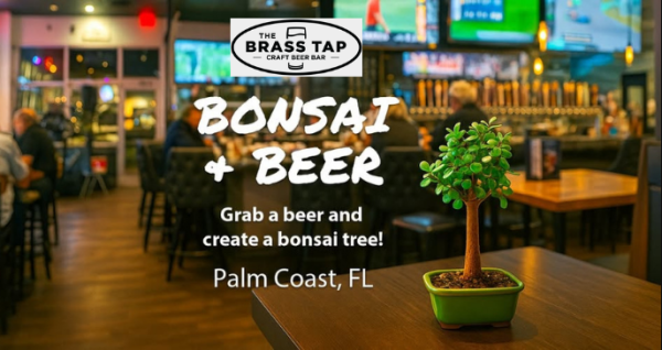 Bonsai & Beer Workshop at The Brass Tap in Palm Coast