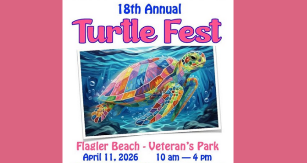 Turtle Fest at Flagler Beach