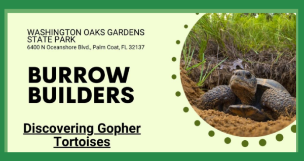 Educational wildlife program about Florida gopher tortoises, their burrows, habitat, and conservation efforts at Washington Oaks Gardens State Park on June 21, 2026.